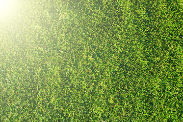 Similar image 437687