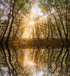 Similar image 437691