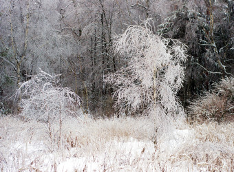 Similar image 437699