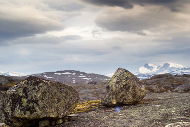 Similar image 437704