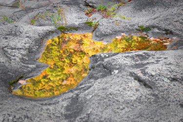 Similar image 437705