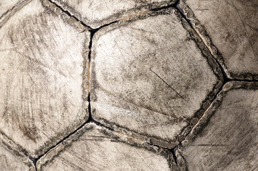 Similar image 437716