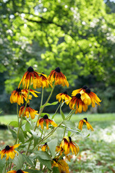 Similar image 437779