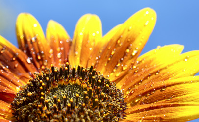 Similar image 437784