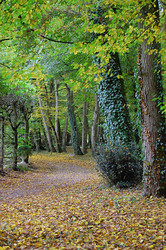 Similar image 437808