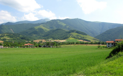 Similar image 437811