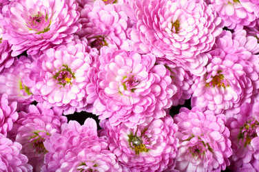 Similar image 437813