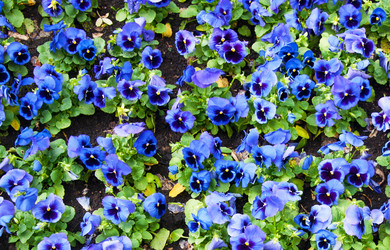 Similar image 437858