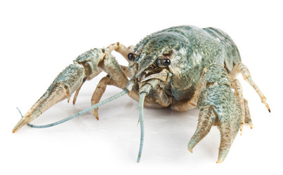 Similar image 437882