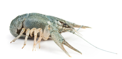 Similar image 437883