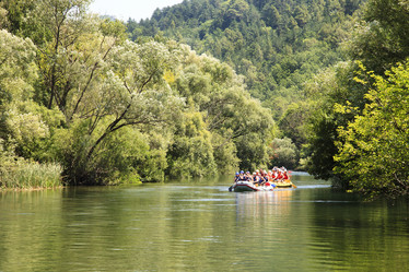 Similar image 437896