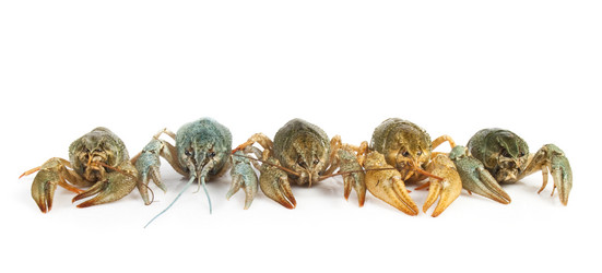 Similar image 437898