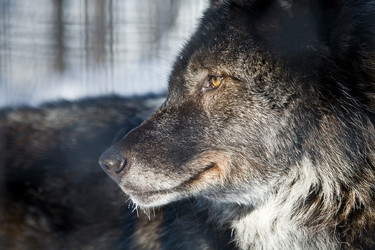 Similar image 437920