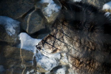 Similar image 437921