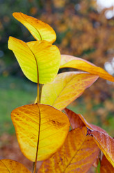 Similar image 437939