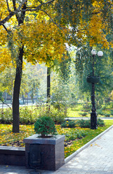 Similar image 437951