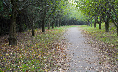 Similar image 437971