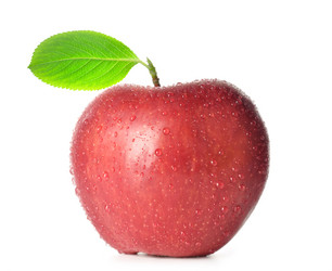 Similar image 437988