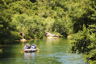 Similar image 437989