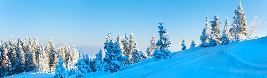 Similar image 438007