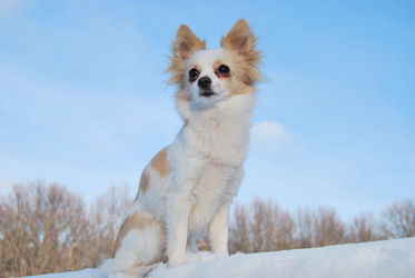 Similar image 438010