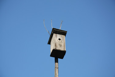 Similar image 438015