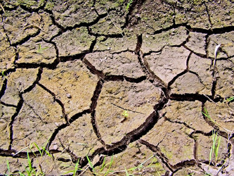 Similar image 438055