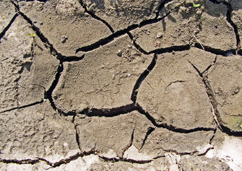 Similar image 438060