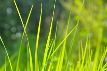 Similar image 438064