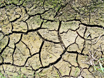 Similar image 438065