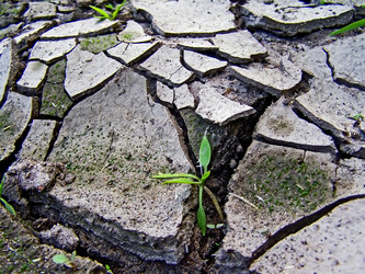 Similar image 438067