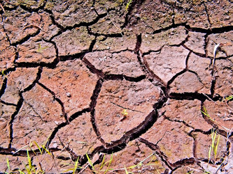 Similar image 438068