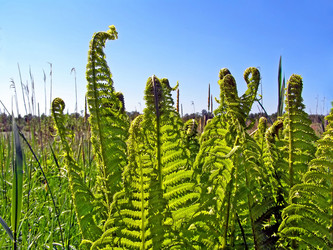 Similar image 438087