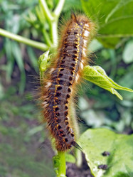 Similar image 438090