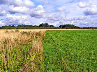 Similar image 438094