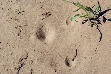 Similar image 438097