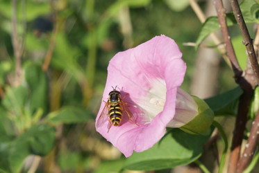 Similar image 438102