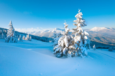 Similar image 438107