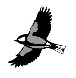 Similar image 438108