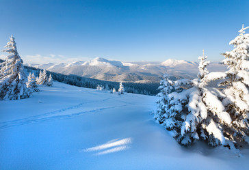 Similar image 438109