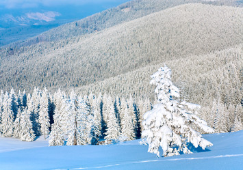 Similar image 438126