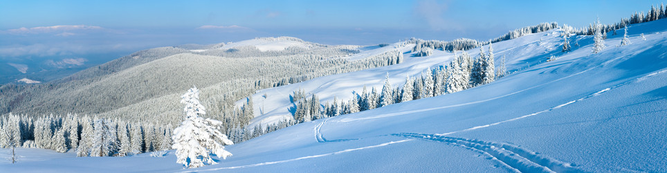 Similar image 438130