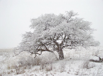 Similar image 438219