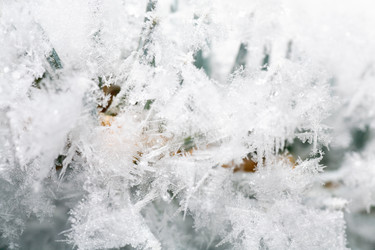 Similar image 438227