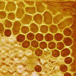 Similar image 438240