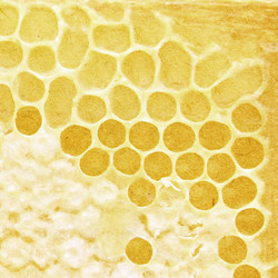 Similar image 438247