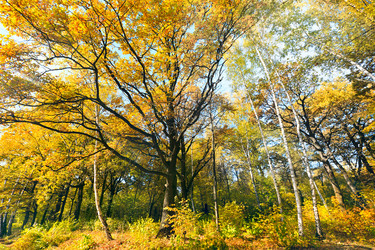 Similar image 438251