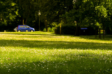 Similar image 438313