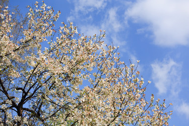 Similar image 438394