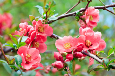 Similar image 438400